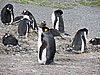 DSCN7697.JPG