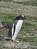 DSCN7698.JPG