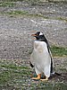 DSCN7699.JPG