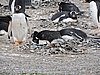 DSCN7702.JPG