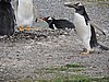 DSCN7703.JPG