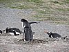 DSCN7704.JPG