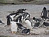 DSCN7705.JPG