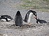 DSCN7706.JPG