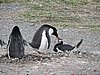 DSCN7707.JPG