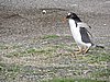 DSCN7708.JPG