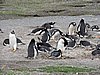DSCN7709.JPG