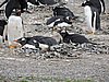 DSCN7710.JPG