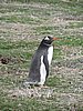 DSCN7711.JPG