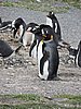 DSCN7712.JPG