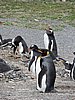DSCN7713.JPG
