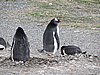 DSCN7714.JPG