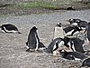 DSCN7716.JPG