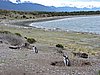 DSCN7717.JPG
