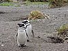 DSCN7718.JPG