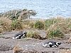 DSCN7720.JPG