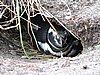 DSCN7721.JPG