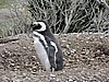 DSCN7722.JPG
