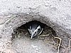 DSCN7726.JPG
