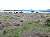 DSCN7729.JPG