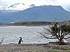 DSCN7732.JPG