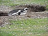 DSCN7733.JPG