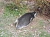 DSCN7734.JPG
