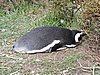 DSCN7735.JPG