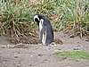DSCN7738.JPG