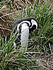DSCN7741.JPG