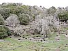 DSCN7747.JPG