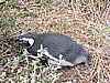 DSCN7748.JPG