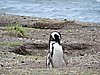 DSCN7750.JPG