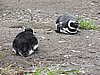 DSCN7751.JPG