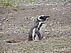 DSCN7752.JPG