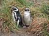 DSCN7754.JPG