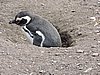 DSCN7756.JPG