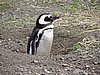 DSCN7757.JPG