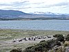 DSCN7758.JPG