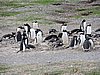 DSCN7759.JPG