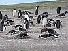 DSCN7760.JPG