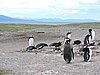 DSCN7761.JPG