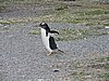 DSCN7763.JPG