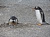 DSCN7765.JPG