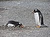 DSCN7767.JPG