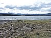 DSCN7768.JPG