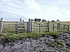DSCN7773.JPG