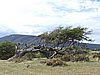DSCN7781.JPG