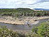 DSCN7783.JPG