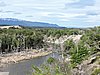 DSCN7784.JPG